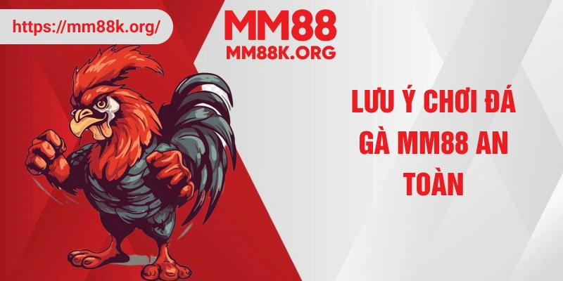 Lưu ý chơi đá gà MM88 an toàn