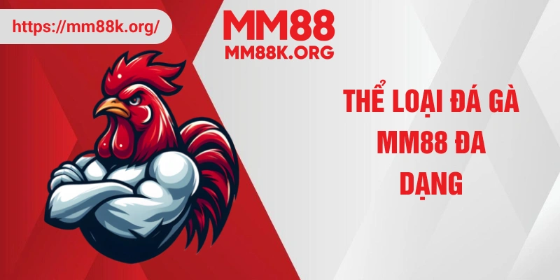 Thể loại đá gà MM88 đa dạng