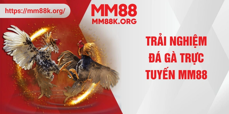 Trải nghiệm đá gà trực tuyến MM88